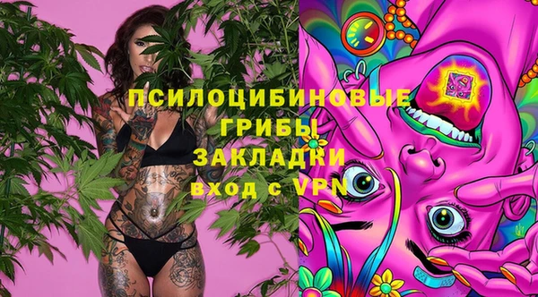 PSILOCYBIN Балабаново