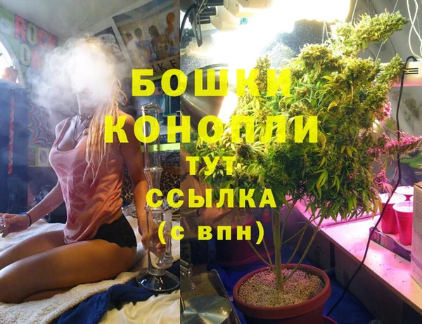 PSILOCYBIN Балабаново