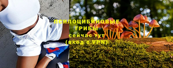 mdpv Пестово
