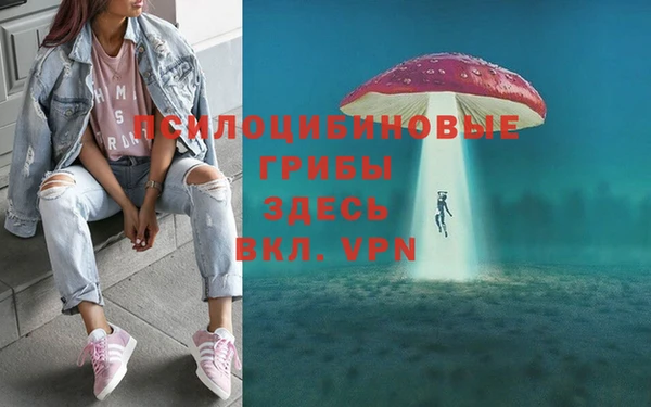 PSILOCYBIN Балабаново